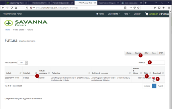 Savanna Webportal 10IT.png