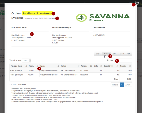 Savanna Webportal 09IT.png
