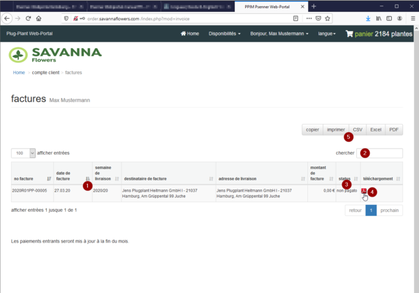 Savanna Webportal 10FR.png