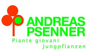 Psenner Logo.jpg